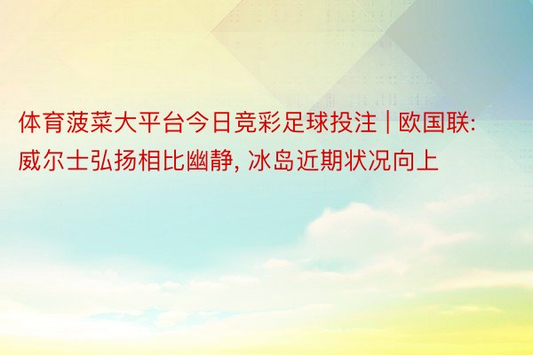 体育菠菜大平台今日竞彩足球投注 | 欧国联: 威尔士弘扬相比幽静, 冰岛近期状况向上