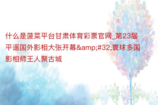 什么是菠菜平台甘肃体育彩票官网_第23届平遥国外影相大张开幕&#32;寰球多国影相师王人聚古城
