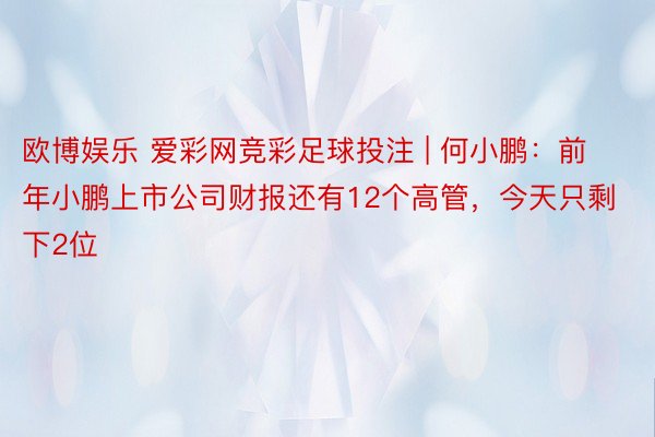 欧博娱乐 爱彩网竞彩足球投注 | 何小鹏：前年小鹏上市公司财报还有12个高管，今天只剩下2位