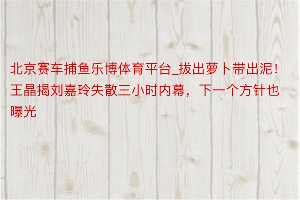 北京赛车捕鱼乐博体育平台_拔出萝卜带出泥！王晶揭刘嘉玲失散三小时内幕，下一个方针也曝光